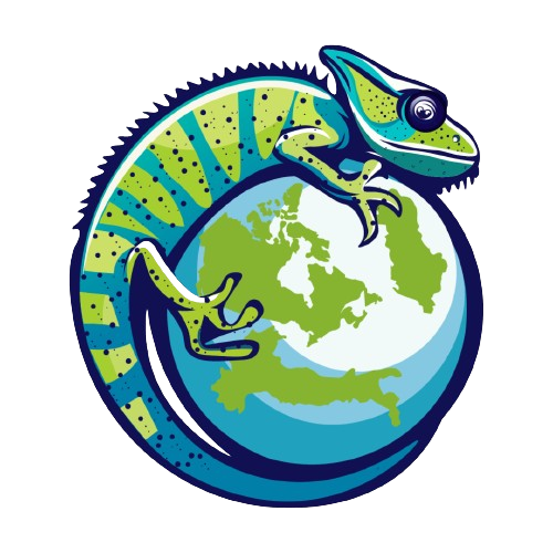 Kamaleonte Marketing